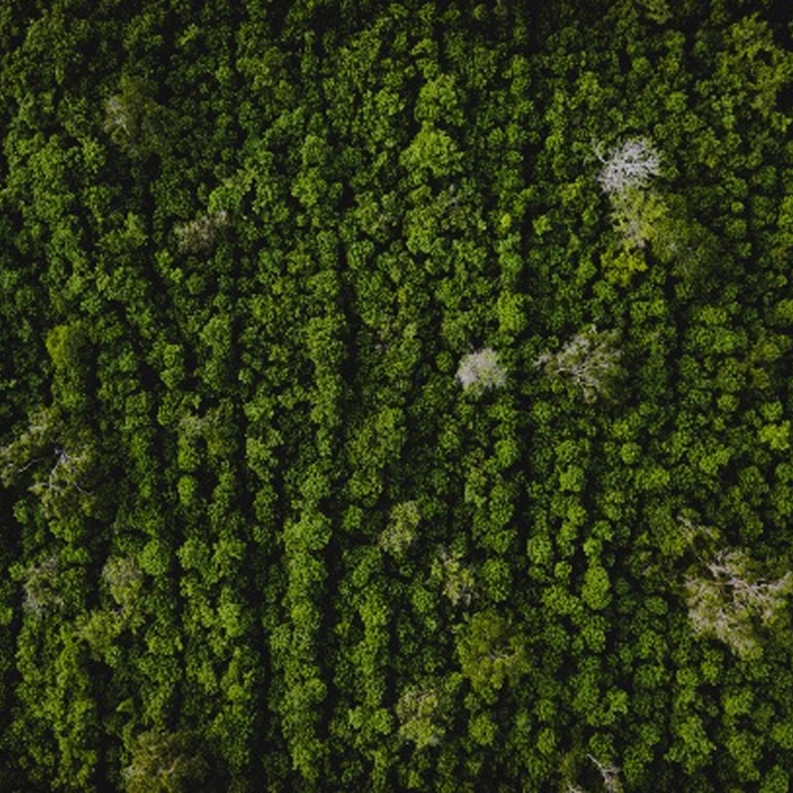 Високий ККД з мінімальним впливом довкілля.     