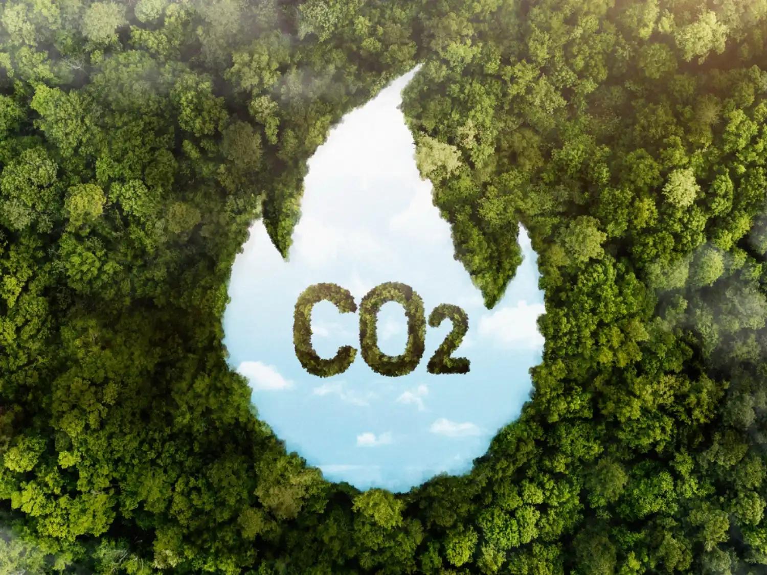 Екологічне спалювання