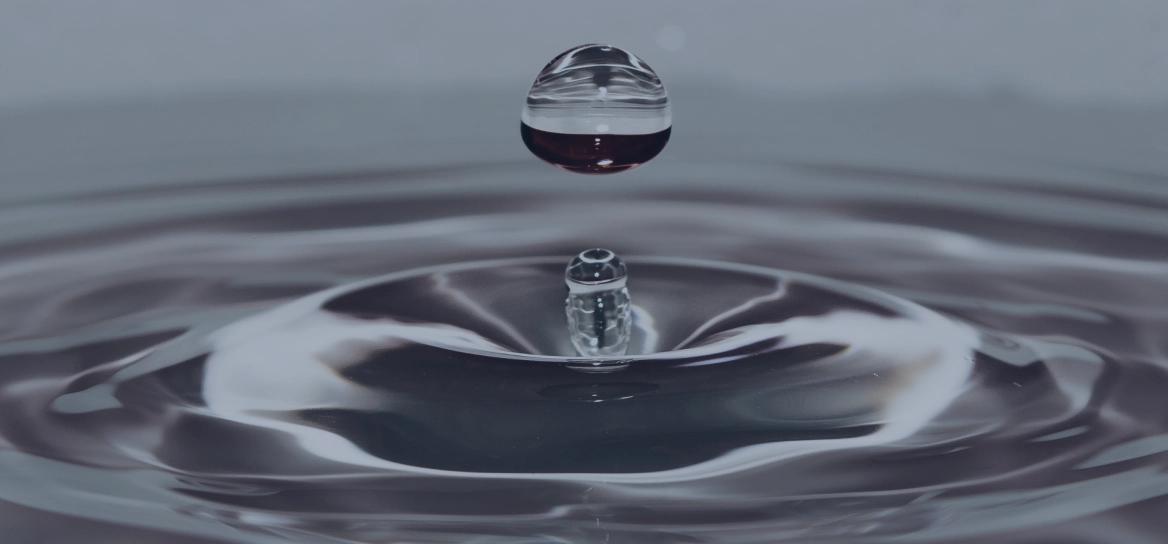 Інновації та дослідження