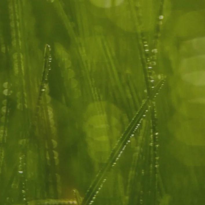 Класи енерго-ефективності: A, B, C